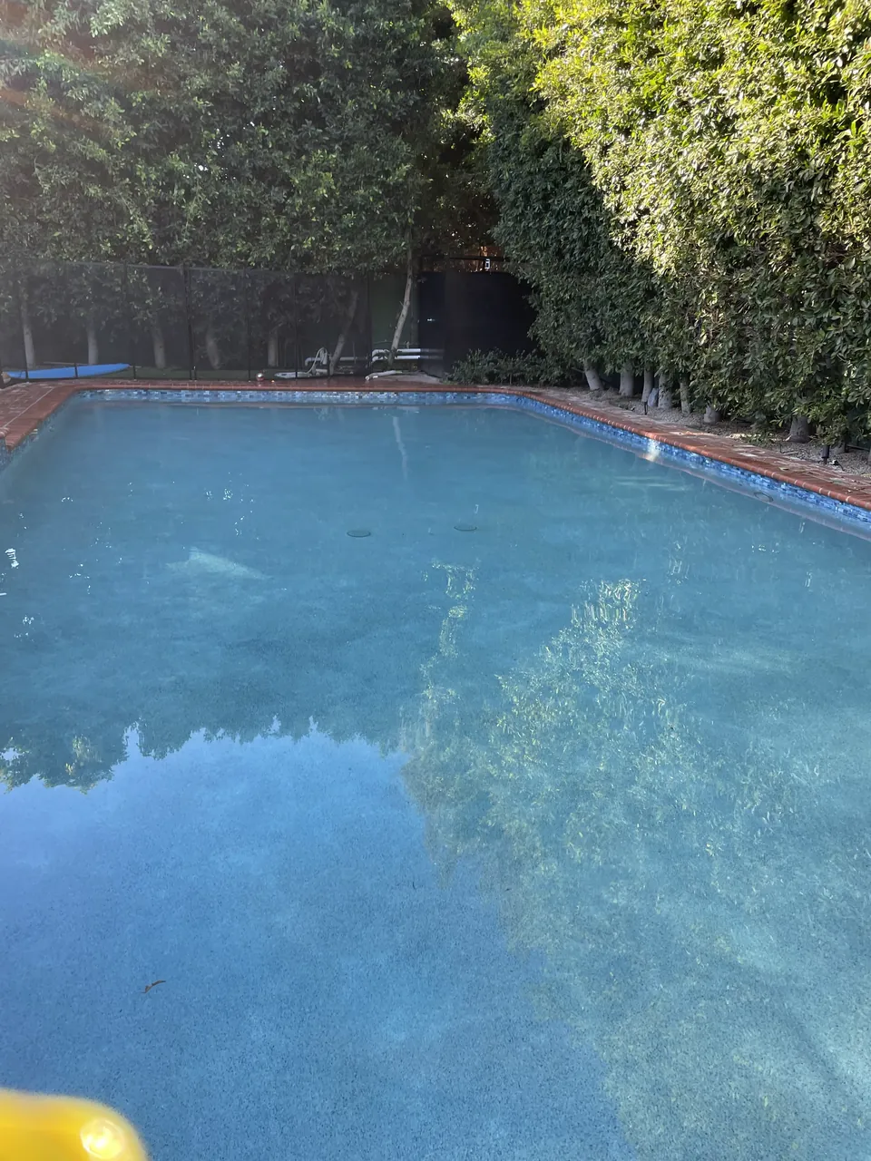 The same backyard pool with clear blue water reflecting the hedges