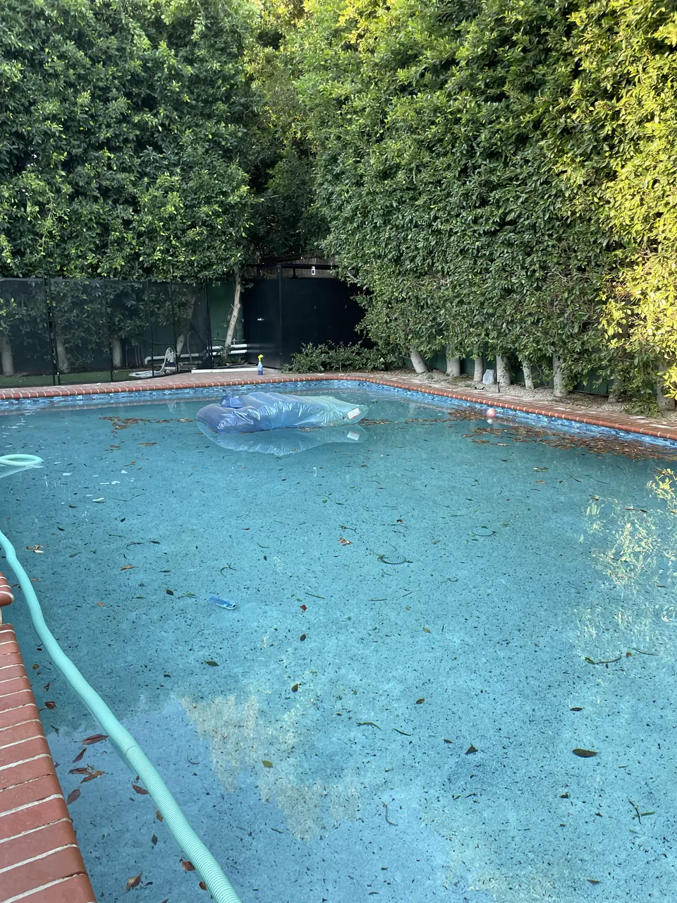 Backyard pool with brick coping, leaves scattered across the water, and a sunken float