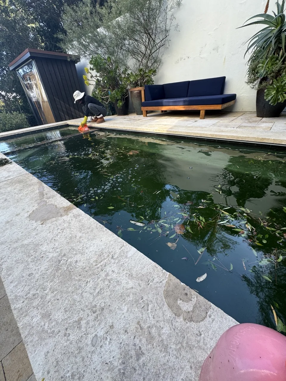 Courtyard pool with dark water beside a white wall and blue bench